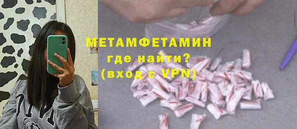 индика Янаул