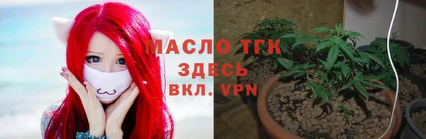 Альфа ПВП Гусь-Хрустальный