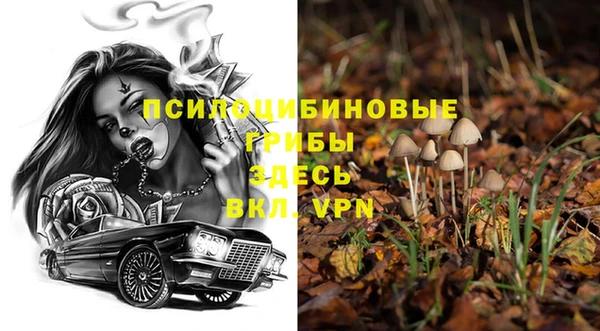 индика Янаул